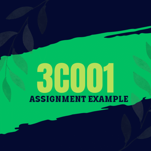 3CO01 Business, culture and change in context Assignment Answers