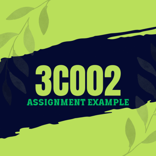 3CO02 Principles of Analytics Assignment Answers