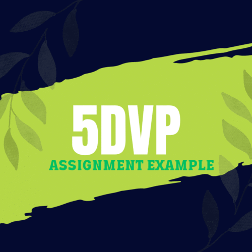 5DVP Developing Professional Practice Assignment Answers