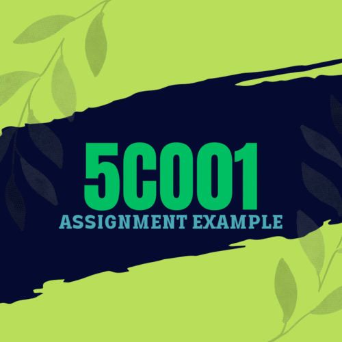 5CO01 Organisational Performance and Culture in Practice Assignment Answers