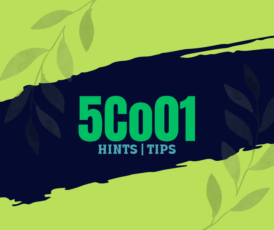 Organisational Performance and Culture in Practice 5CO01 GUIDE