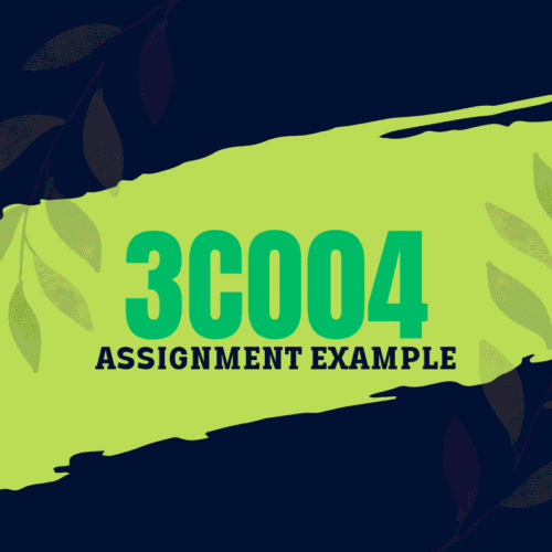 3CO04 Assignment Answers