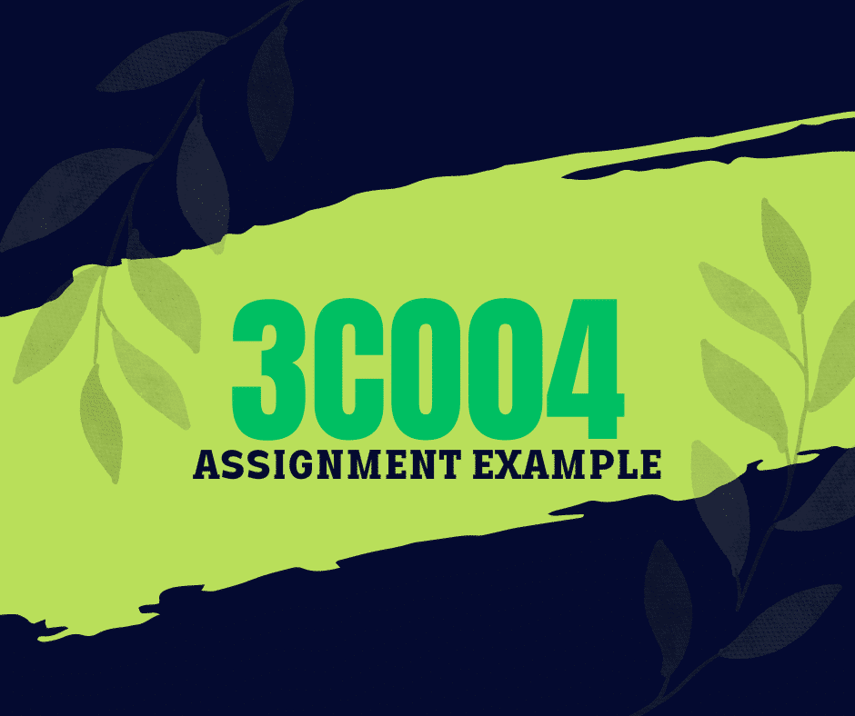 3CO04 Essentials of people practice Assignment Answers