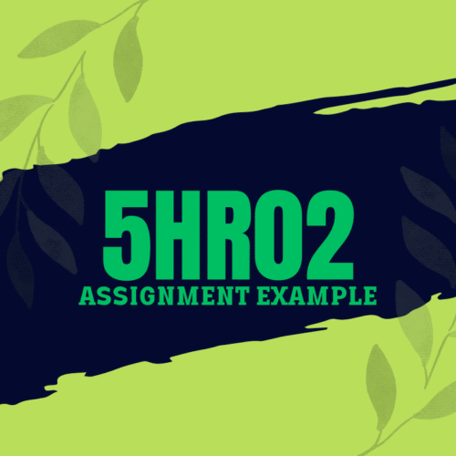5HR02 Assignment Answers