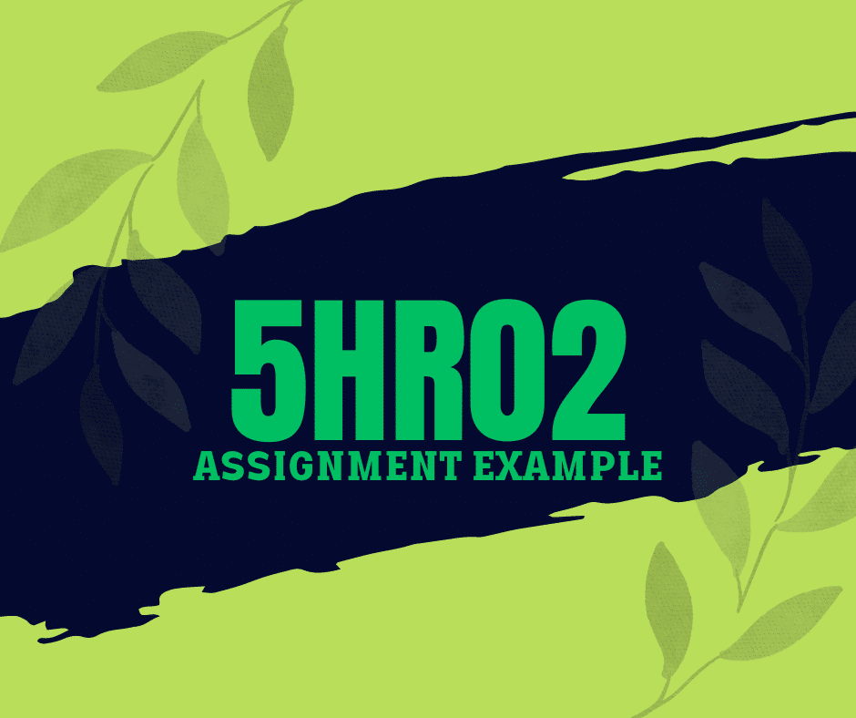 5HR02 Talent Management and Workforce Planning Assignment Answers