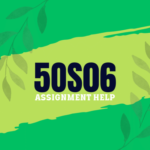 5OS06 Leadership and Management Development Assignment Answers