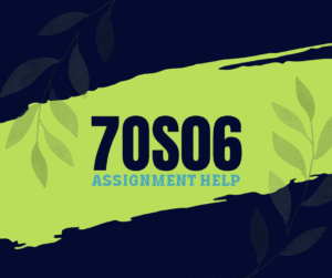 7OS06 Well-being at work Assignment Answers