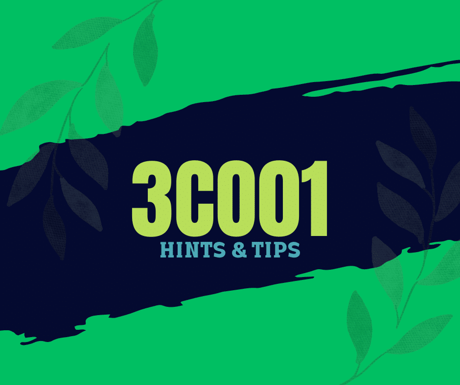 3CO01 Business Culture and Change in Context Guide