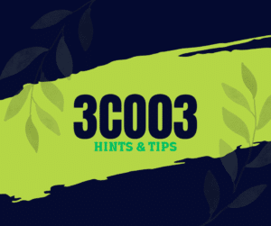 3CO03 Core Behaviours for People Professionals Guide