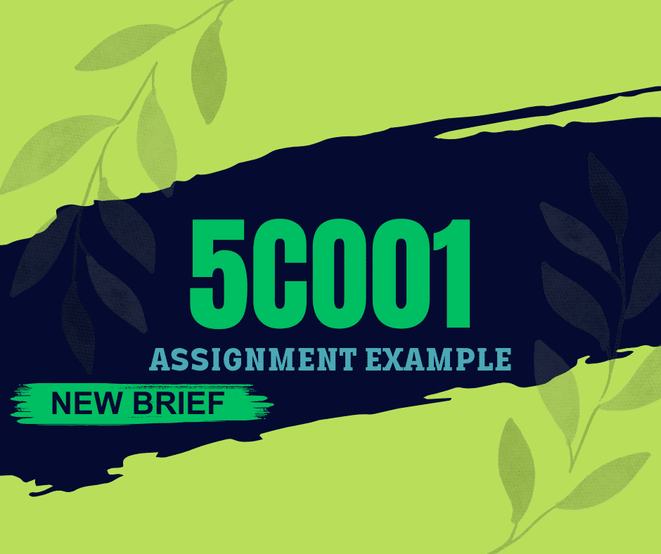 New Brief 5CO01 Assignment Example