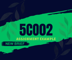 New Brief 5CO02 Assignment Example 2024