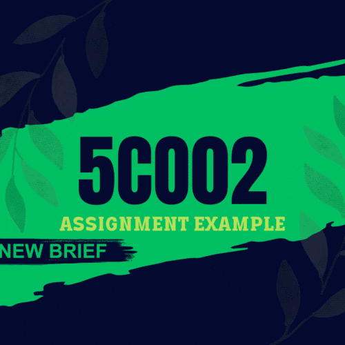 New Brief 5CO02 Assignment Example 2024