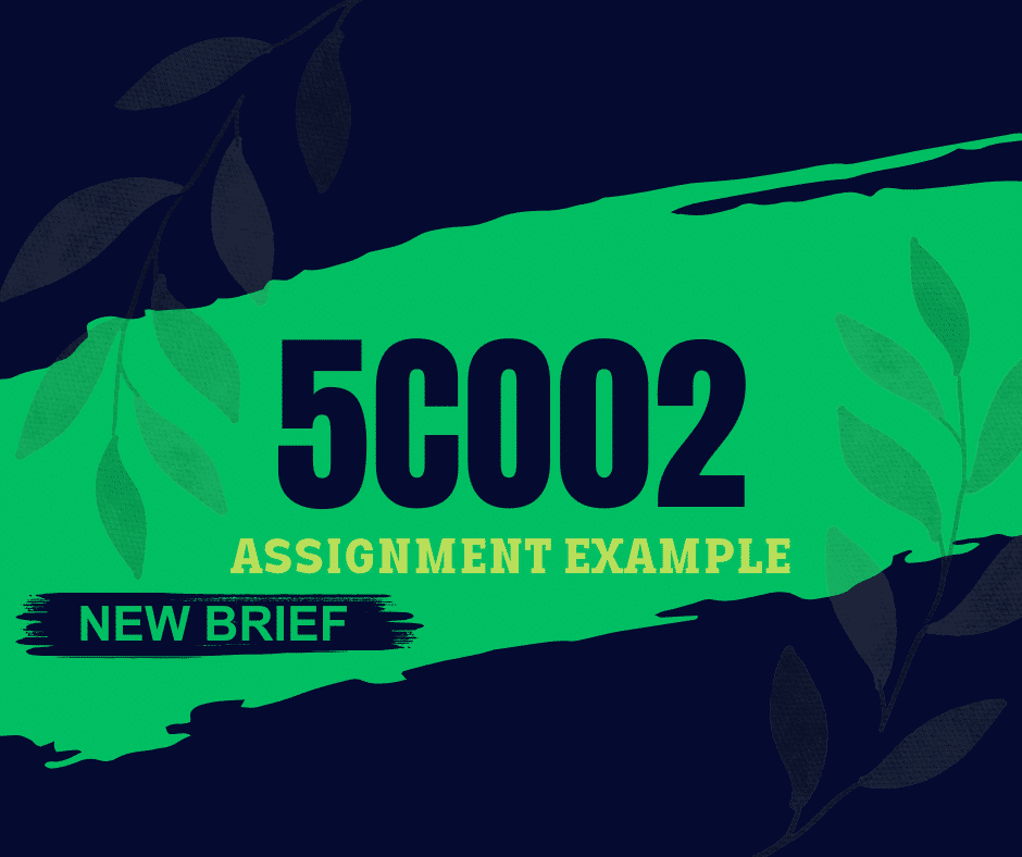New Brief 5CO02 Assignment Example