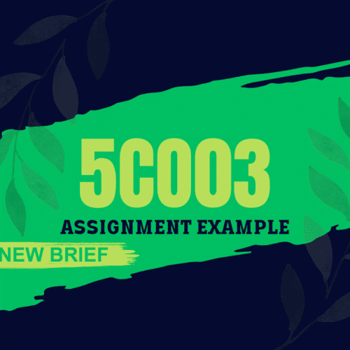 5CO03 Assignment Example 2024