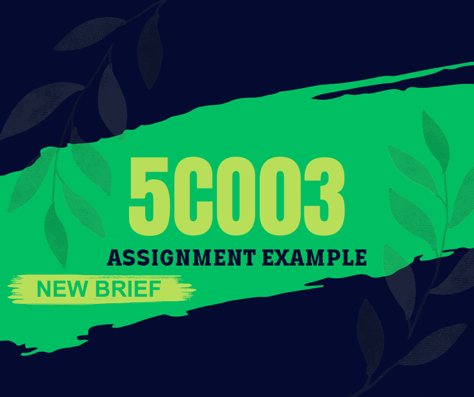 New Brief 5CO03 Assignment Example