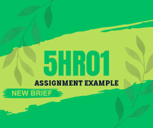 New Brief 5HR01 Assignment Example 2024