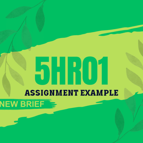 New Brief 5HR01 Assignment Example 2024