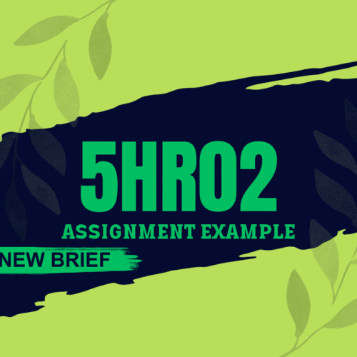 5HR02 Assignment Example 2024
