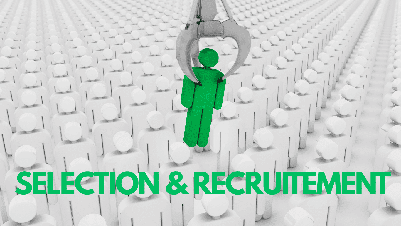 The Role of People Professionals in Recruitment and Selection of Organisational Talent