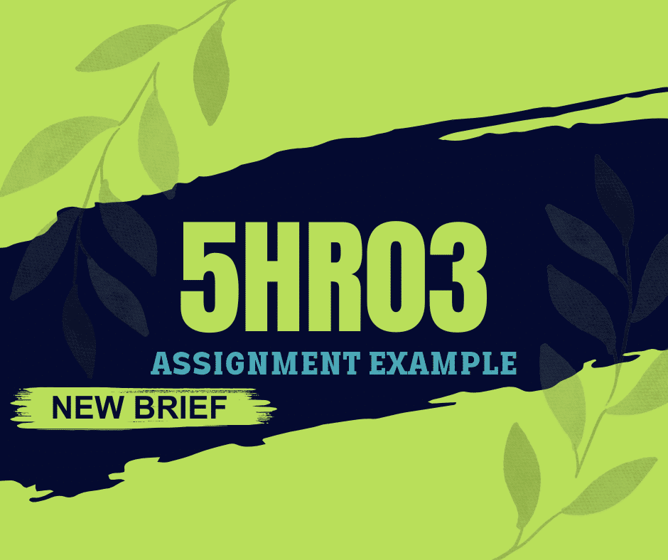 New Brief 5HR03 Assignment Example 2024